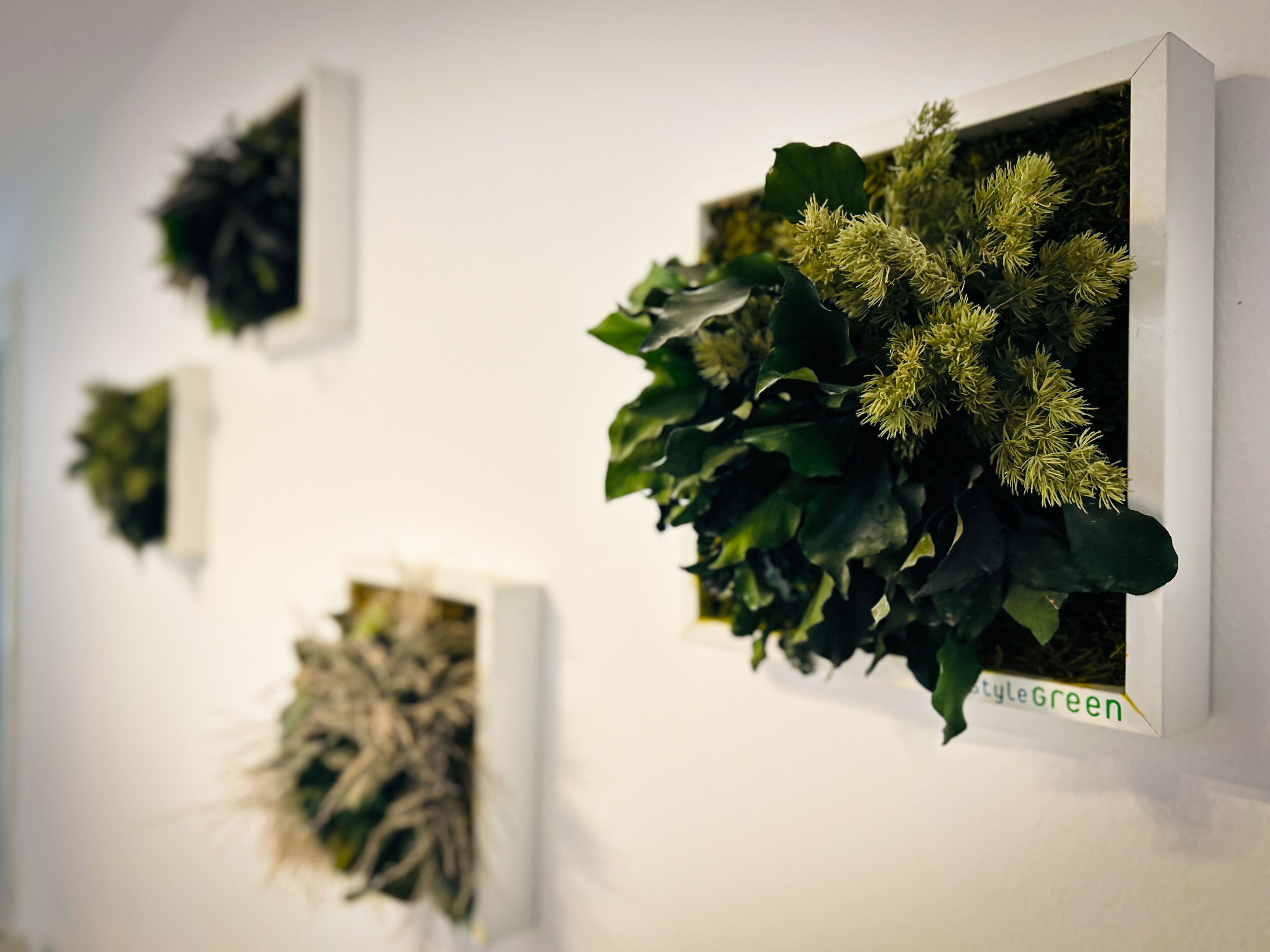 Un muro con diversi vasi contenenti verdeggiante vegetazione e decorazioni.