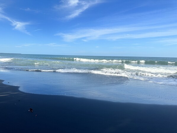 Beach - Rest , Restore, and Relax steps away from the beautiful black sands beach. (Limón)