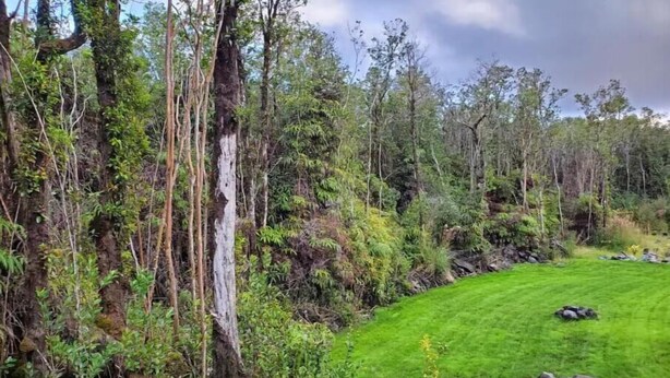 A lush green lawn with a few rocks and trees in the background.