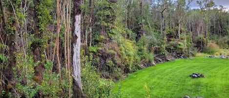 Overnatningsstedets område