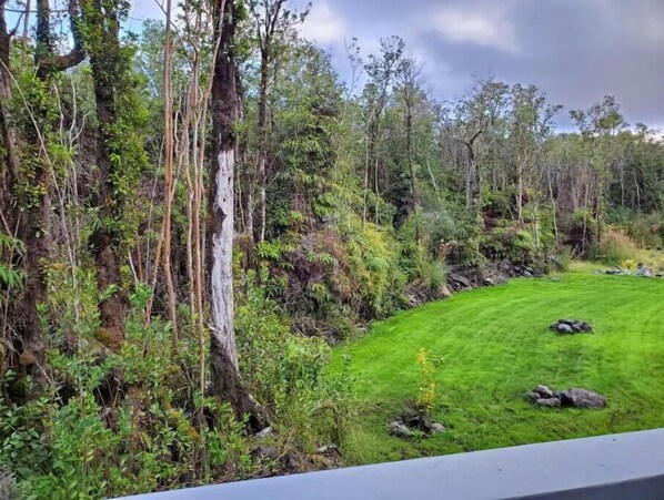 Property grounds - Mountain View Retreat Unit 1 - highly rated on leading rental sites! (Mountain View)