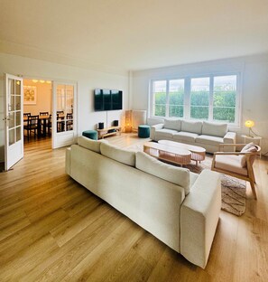 TV, fireplace - The villas of Allemant (Allemant)