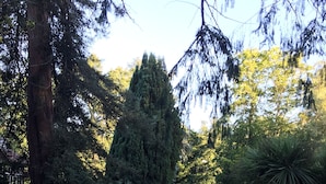 A garden with a pool, surrounded by various trees and flowering plants. - Victorian Mannor House with easy London access  (Godalming)