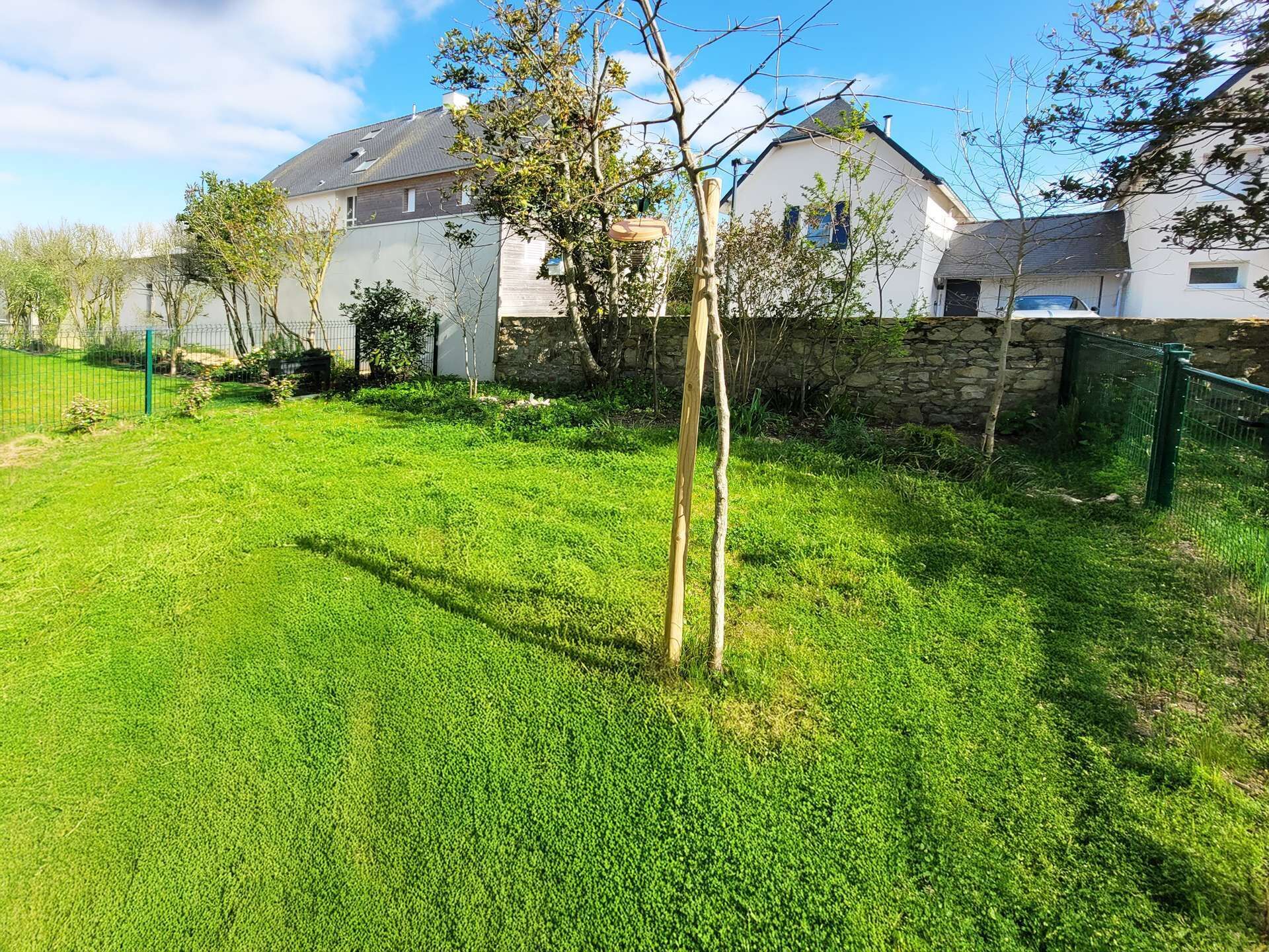 A residential area with a grassy lawn, a stone wall, and a house with a sloped roof.