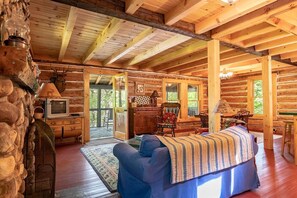 Smart TV, fireplace, DVD player, books