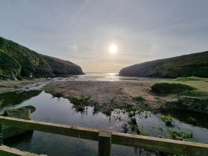 Eine Küstenlandschaft mit einer Holzbrücke, die zu einem felsigen Strand führt.