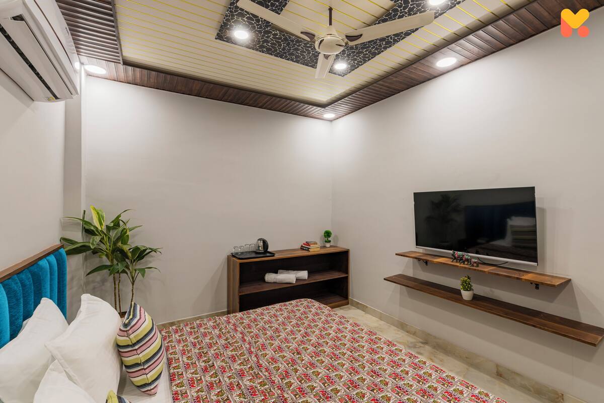 Une chambre à coucher comprenant un lit, un téléviseur, un ventilateur de plafond, une plante et une étagère sur laquelle repose le meuble t élé.