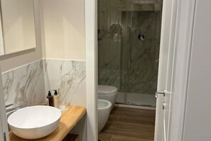 Shower, hair dryer, bidet, towels