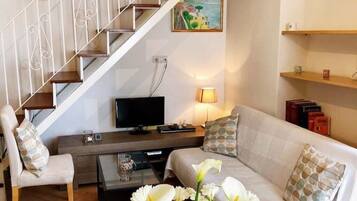 Smart TV, DVD player, books, video library