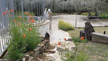 Parco della struttura