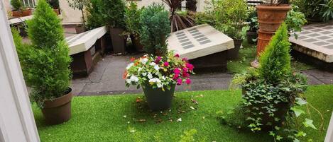 المنطقة المحيطة بالمنشأة