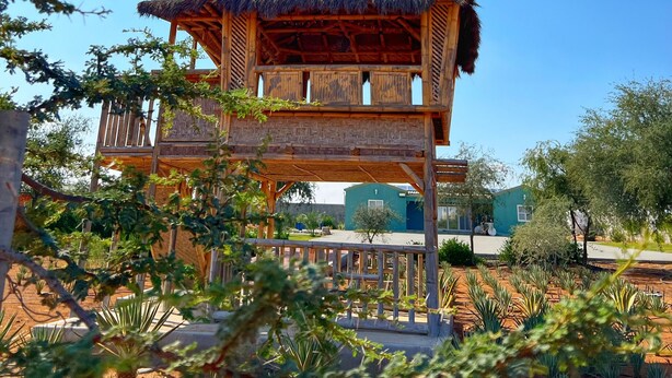 A traditional wooden structure with a thatched roof, surrounded by greenery and a clear blue sky. - 3 bedrooms in the farm with stay in Desert Hut

 (Ras Al-Khaimah)