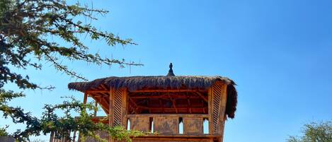 المنطقة المحيطة بالمنشأة