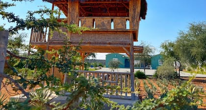 3 bedrooms in the farm with stay in Desert Hut