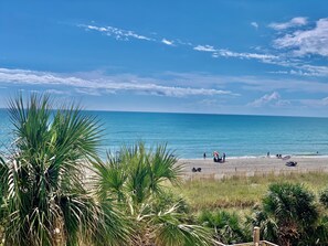 Een strand met palmbomen, zand en de oceaan.