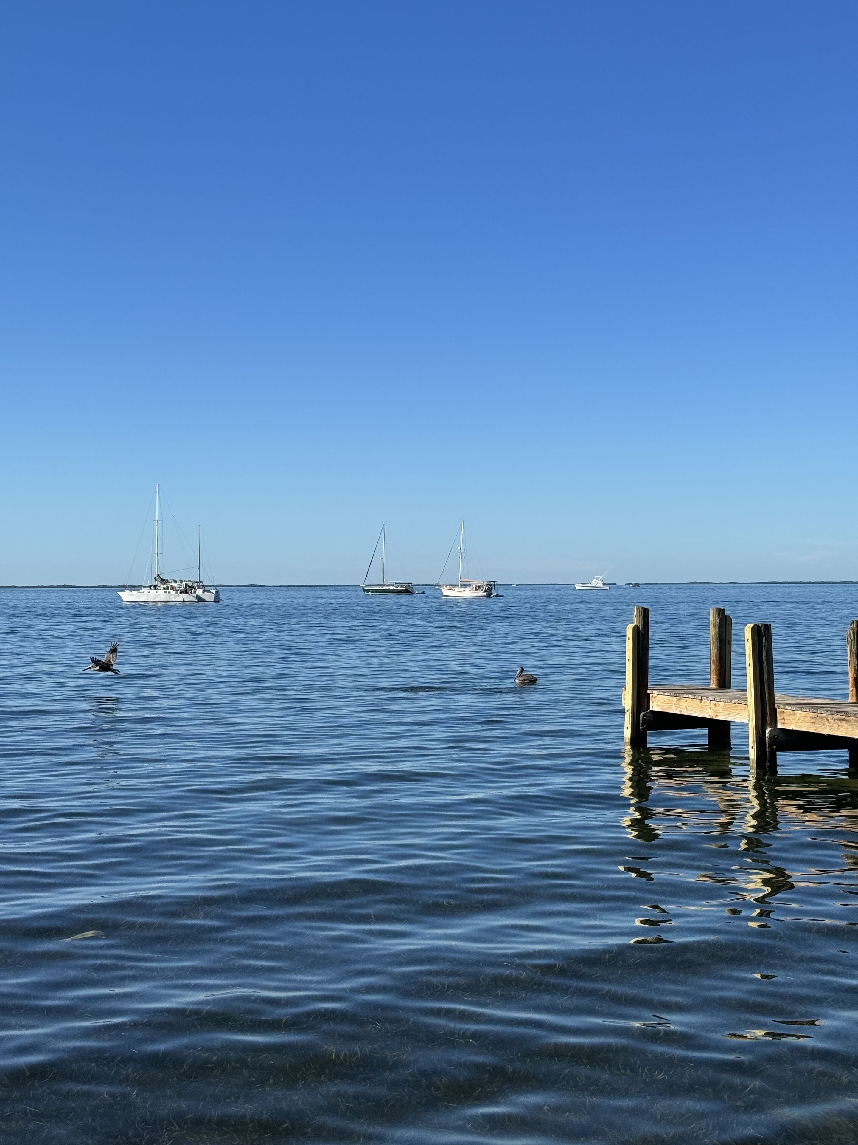 A calm body of water with several boats anchored. There is a wooden dock extending into the water.