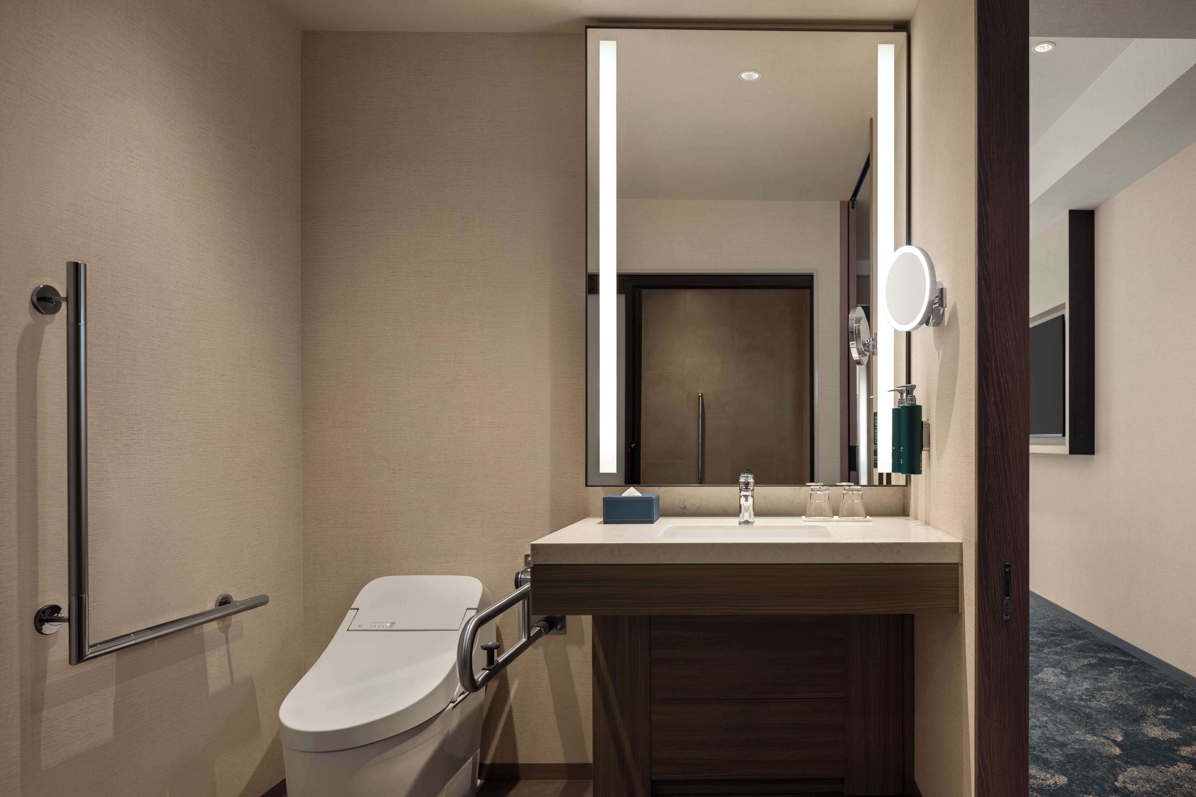A modern bathroom with a toilet, a sink with a mirror, and a handrail.