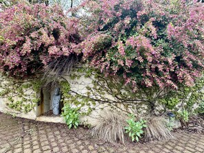 Exterior detail - Serenity Ridge A Unique Property - Entire Home in Diamond Springs, California (Diamond Springs)