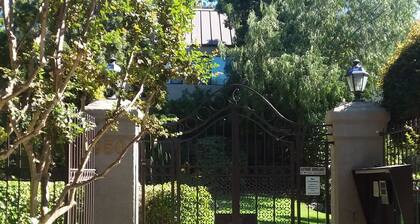 Paradise in the city