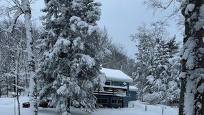 Ett snötäckt landskap med ett hus omgivet av träd.