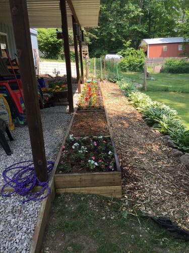 Rabbit Run - Cozy cottage in the heart of Walloon Lake Village. Family-friendly!