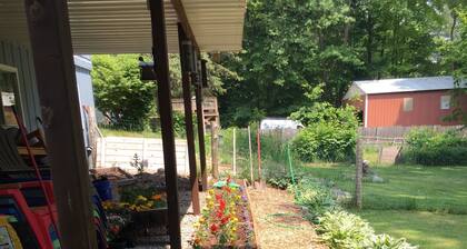 Rabbit Run - Cozy cottage in the heart of Walloon Lake Village. Family-friendly!