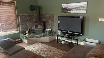 Smart TV, fireplace, books