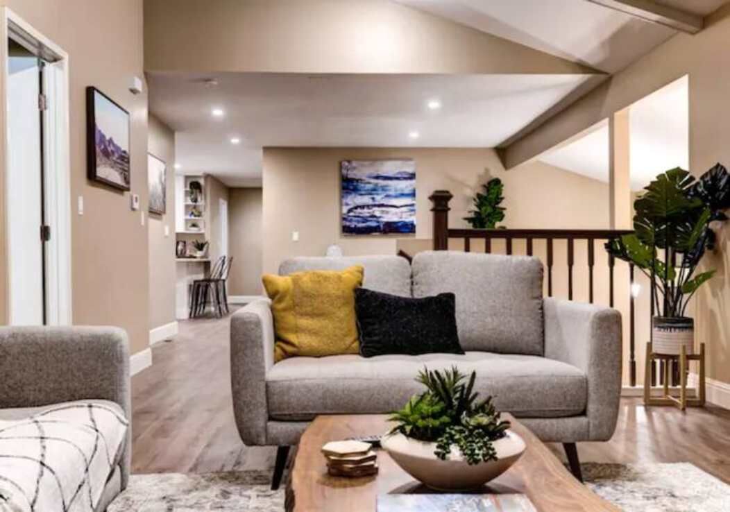 TV, fireplace, books, offices