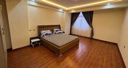 Apartment guest house for rent at Meskel Flower area