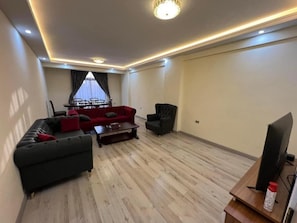 TV - Apartment guest house for rent at Meskel Flower area (Addis Ababa)