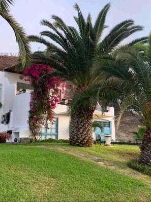 Área da propriedade