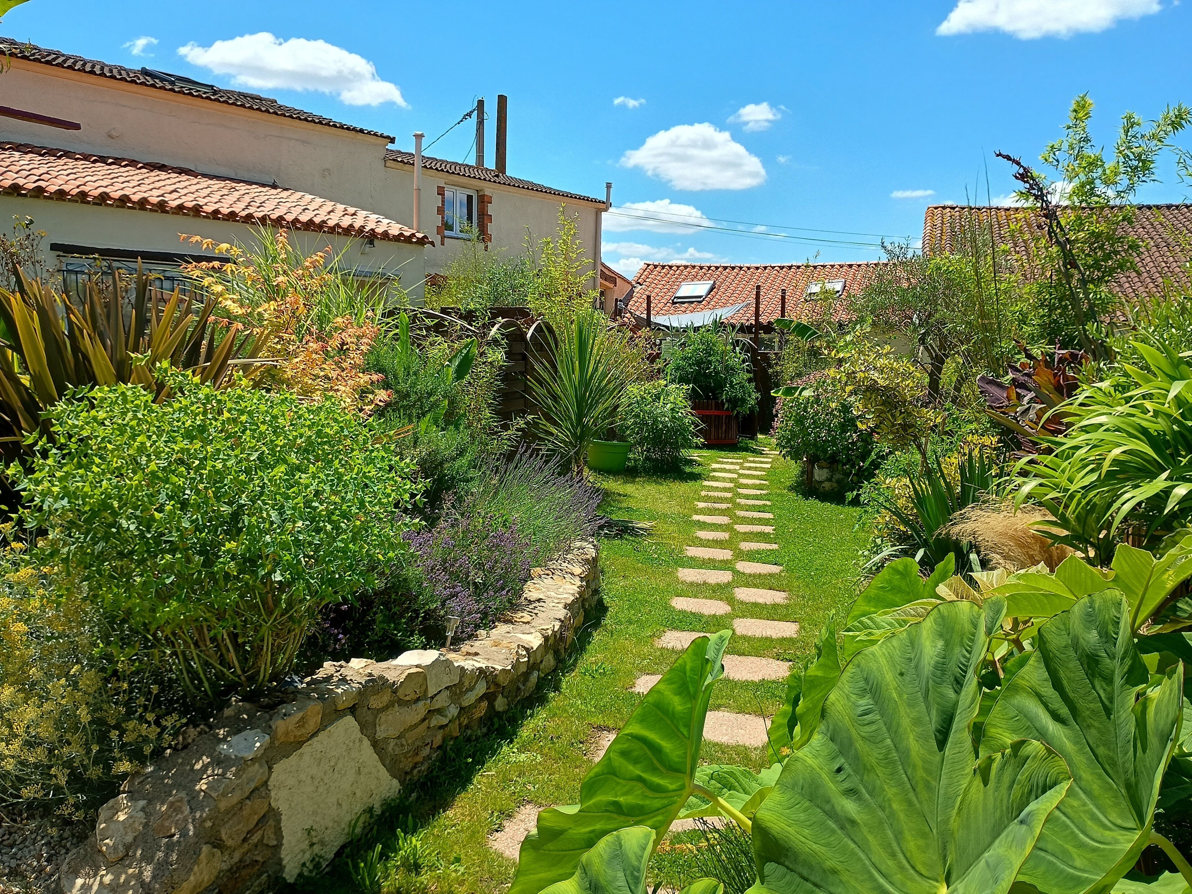 Àrea exterior de l'allotjament