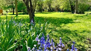 A lush garden with a variety of trees and a grassy lawn.