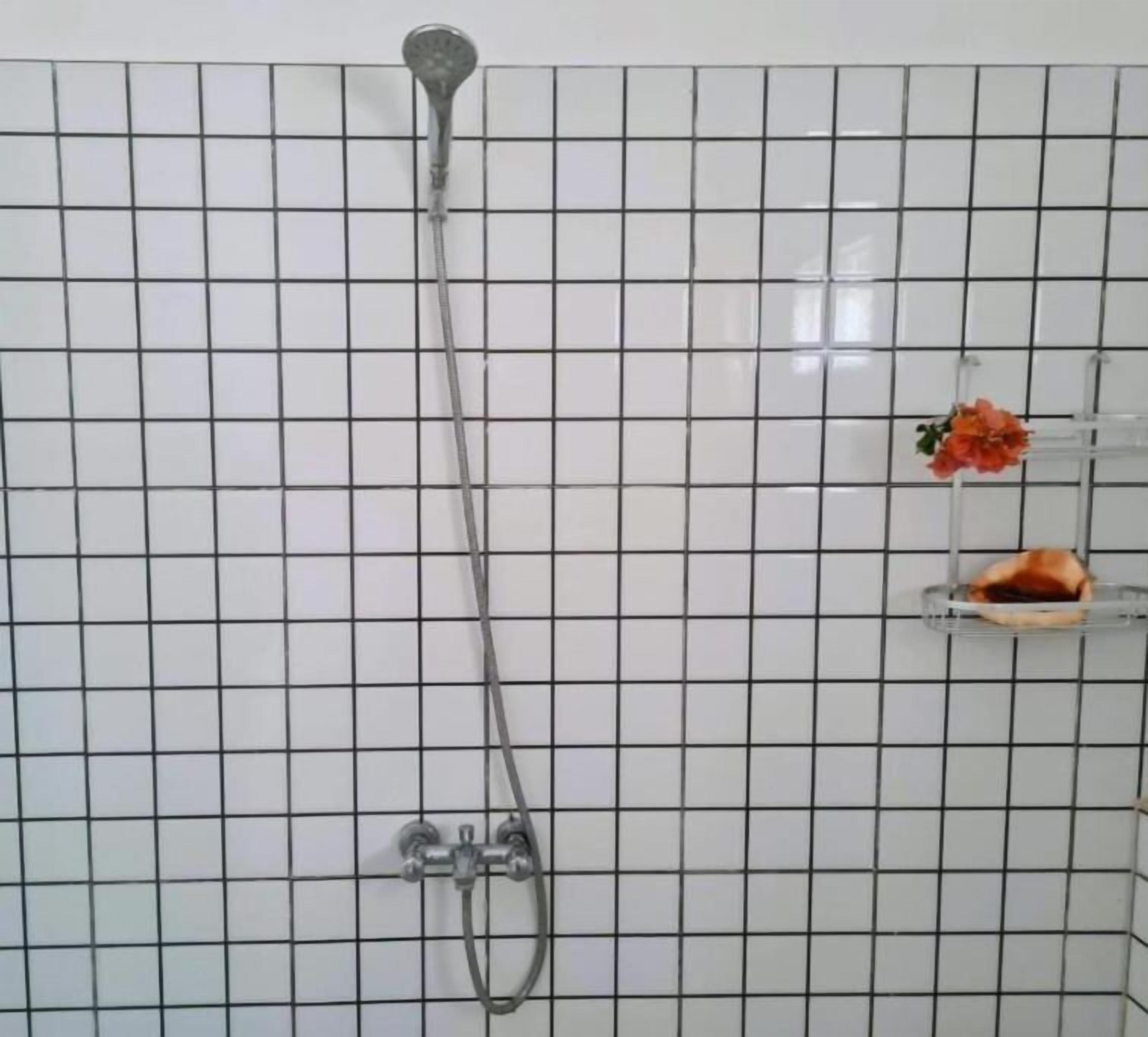 Dusche, Handtücher, Seife, Toilettenpapier