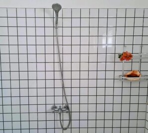 Douche, serviettes fournies, savon, papier toilette