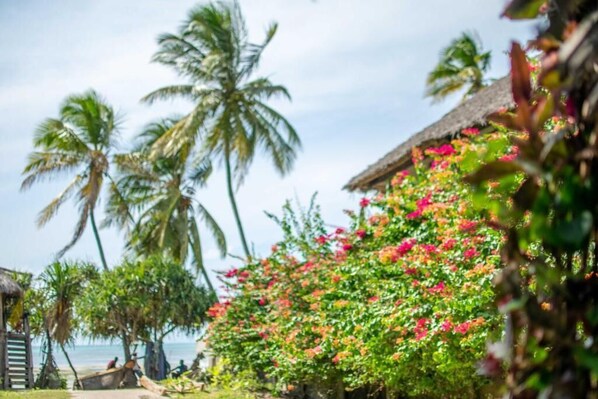Property grounds - Double Room with Sea View (Mbeya)