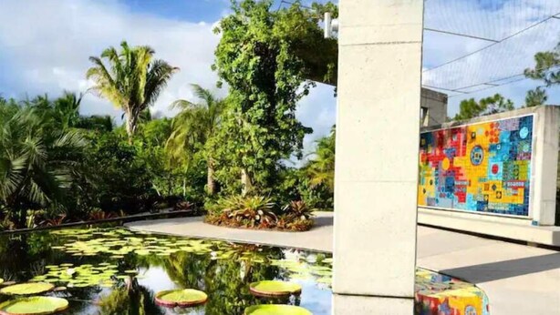A serene outdoor area with a water feature, including lily pads and a central tree, and a colorful mosaic wall.