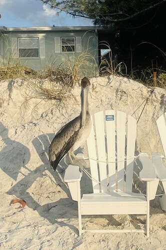 Beachside Historic Cottage Apartment – Steps to Sand