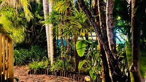 A garden pathway surrounded by lush tropical vegetation. - `Dunes` Gulf-View Historic Beachside Cottage 1/1 (Indian Rocks Beach)
