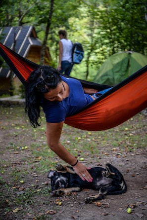 A person lying in a hammock outdoors with a dog on the ground.