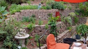 A patio area with a stone wall, a garden with various plants, a stone birdbath, and a metal chair. - Clean Private Bedroom,Bathroom. Private entrance. Lovely Gated Neighborhood.     (Vista)