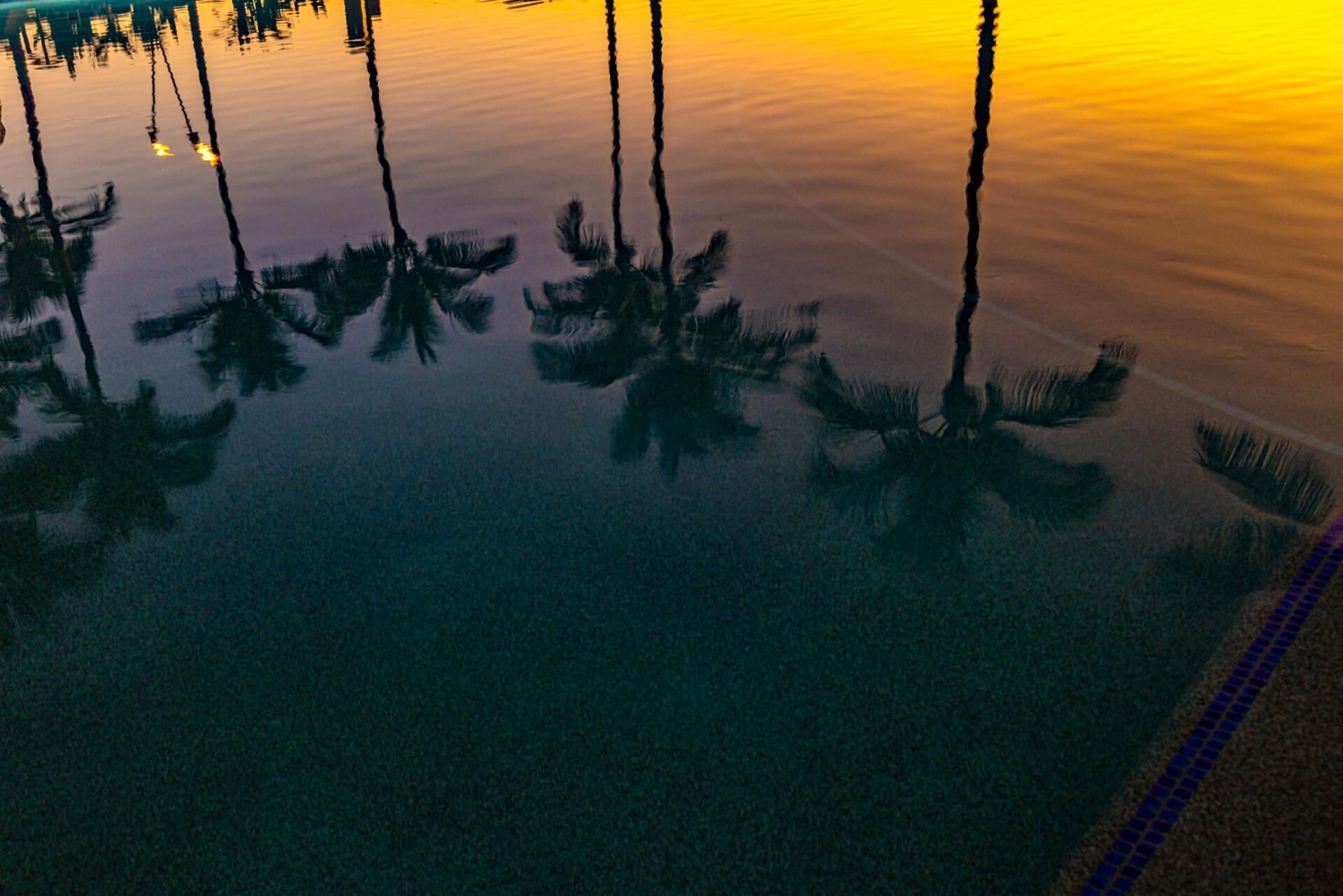 Ruhige Wasseroberfläche spiegelt Palmen und einen Sonnenuntergang wider.