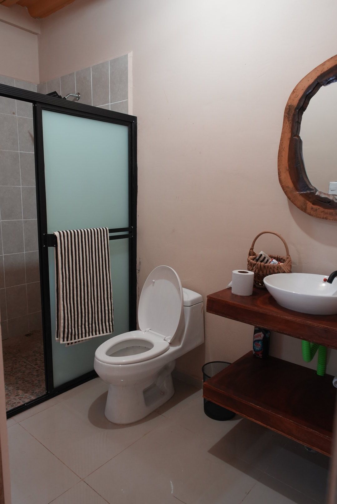 A bathroom with a toilet, a shower enclosure, a sink with a mirror, and a towel rack.