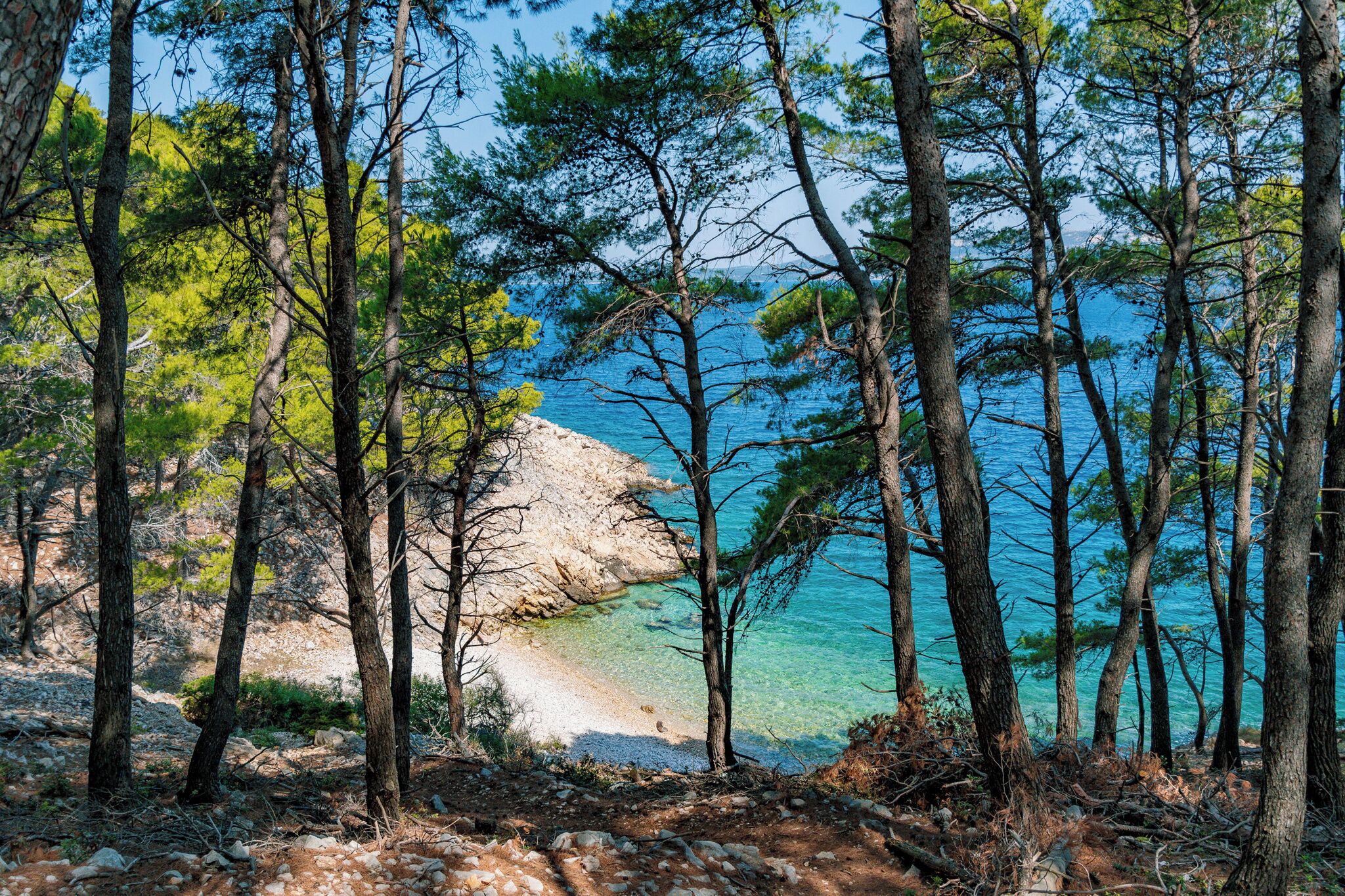 Playa en los alrededores 