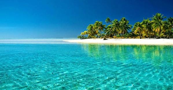 A clear turquoise sea with white sand and palm trees on a beach.