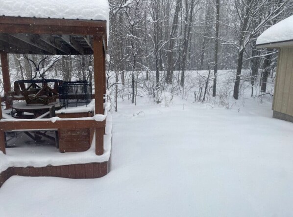 Un pabellón de madera con una mesa y sillas, rodeado por un patio y árboles cubiertos de nieve.