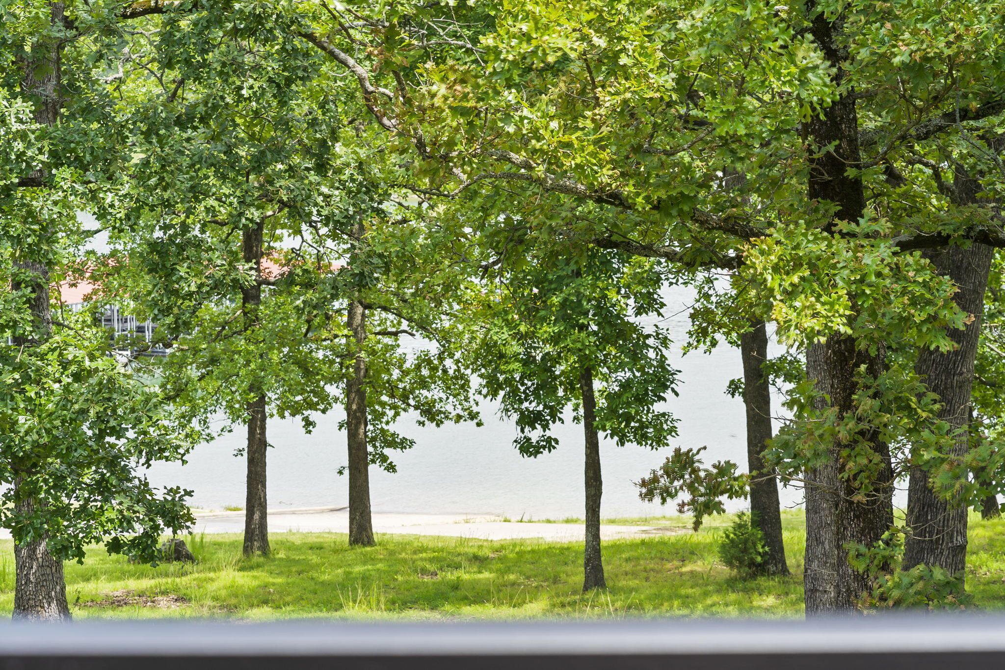 A row of trees with a body of water in the background.