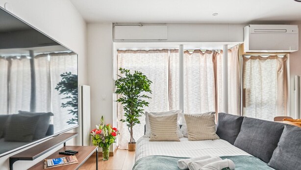 A modern hotel room with a bed, a TV, a desk, a plant, and a window with curtains.