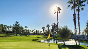Un campo de golf con un mástil de bandera, palmeras y un estanque.