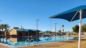 Una piscina bajo un cielo azul despejado, palmeras y un edificio con techo verde al fondo.